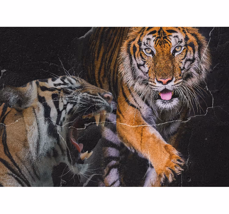 Fototapete tiere majestätische tigerbegegnung - TenStickers
