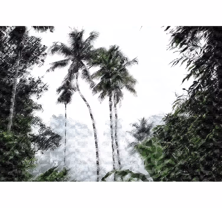Fototapete natur palmenruhe - TenStickers