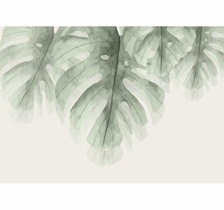Fototapete Natur großes tropisches blatt - TenStickers