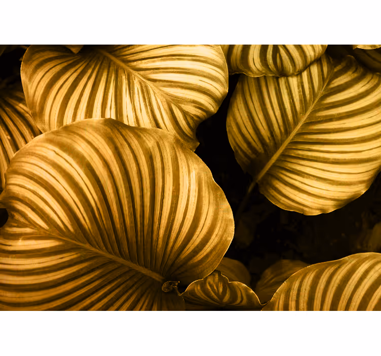 Fototapete blumen mit goldenen blattmustern - TenStickers