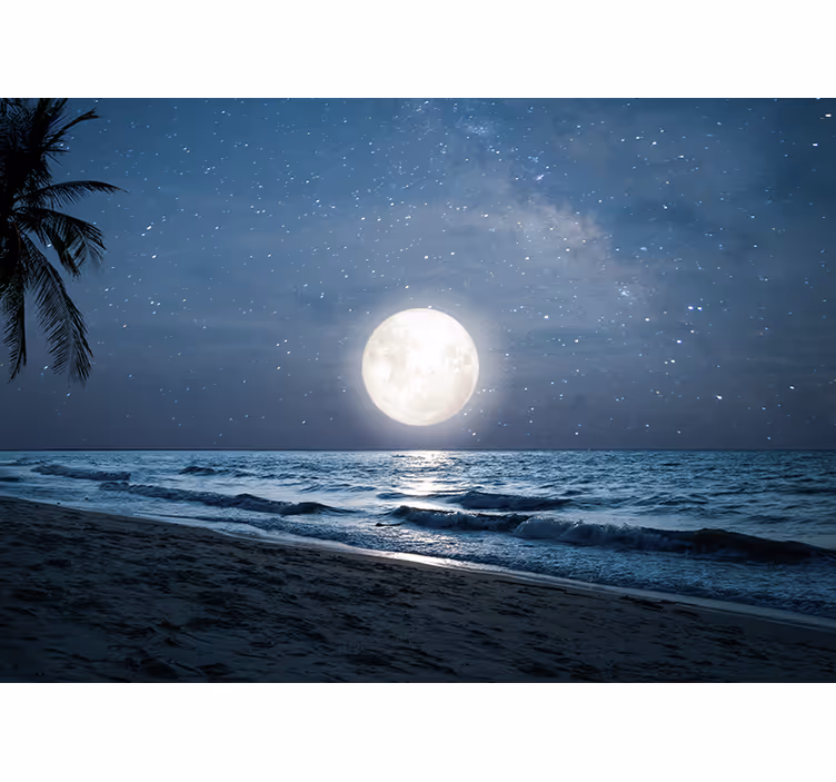 Fototapete natur helles mondlicht am ozean - TenStickers