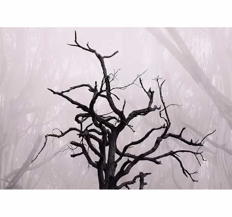 Fototapete baum mit filigraner ast-silhouette - TenStickers