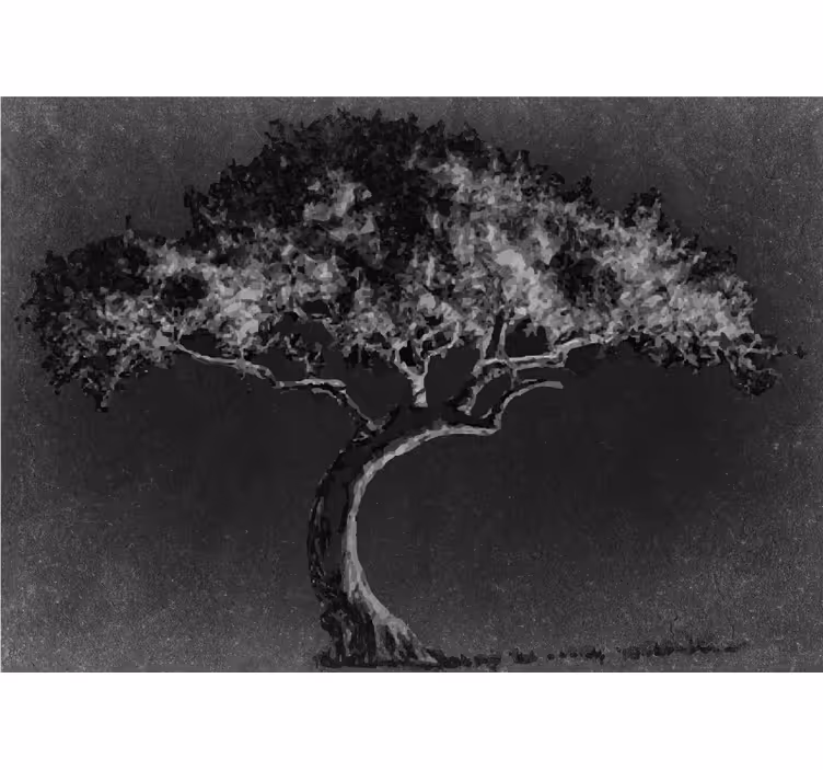 Fototapete baum elegante baumsilhouette - TenStickers