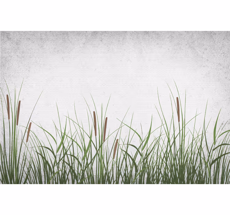 Fototapete blumen tulpen und gras - TenStickers