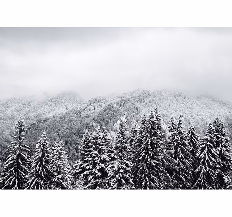 Fototapete Berge Verschneiter wald mit pinien - TenStickers