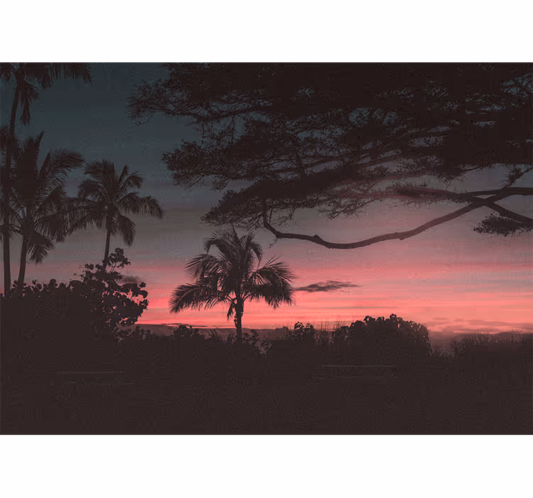 Fototapete landschaft tropischer sonnenuntergang silhouette - TenStickers