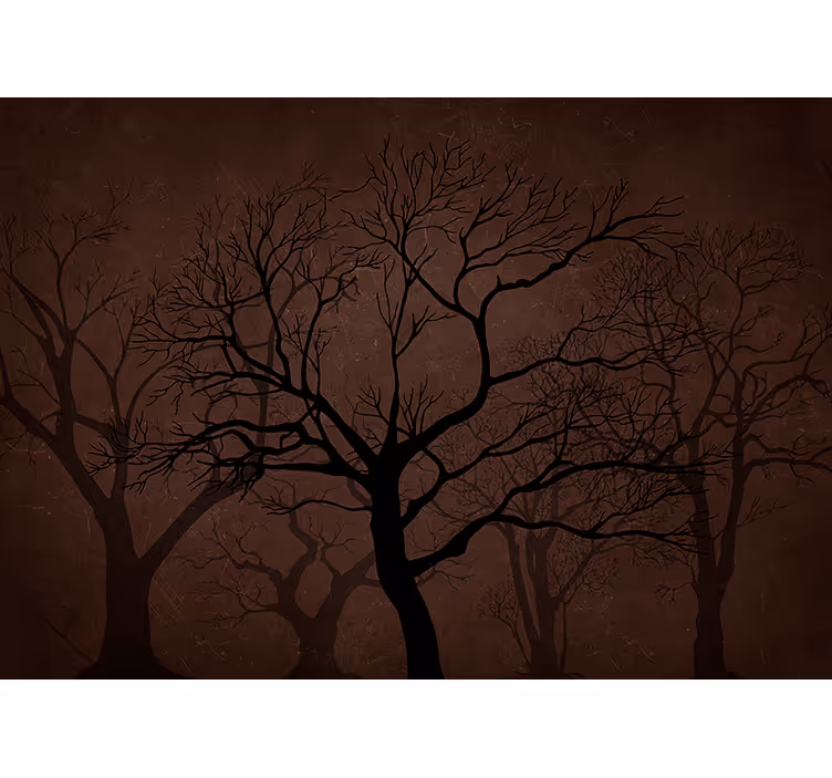 Fototapete wald dunkle silhouettenbäume - TenStickers