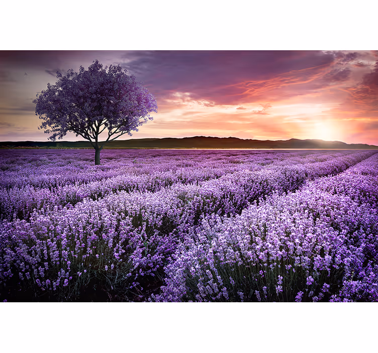 Fototapete Natur Lila fantasiebaum mit blumen - TenStickers