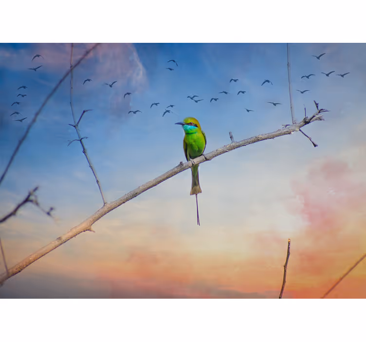 Fototapete tiere vogel auf ast - TenStickers