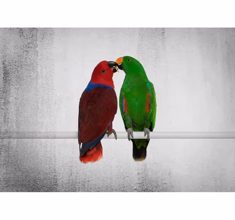 Fototapete Tiere Papageien umarmen - TenStickers