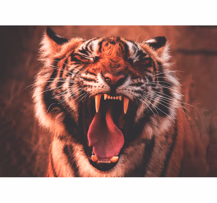 Fototapete tiere majestätisches tigergebrüll - TenStickers