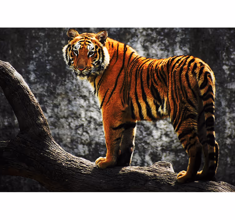 Fototapete tiere regal tigerhaltung - TenStickers
