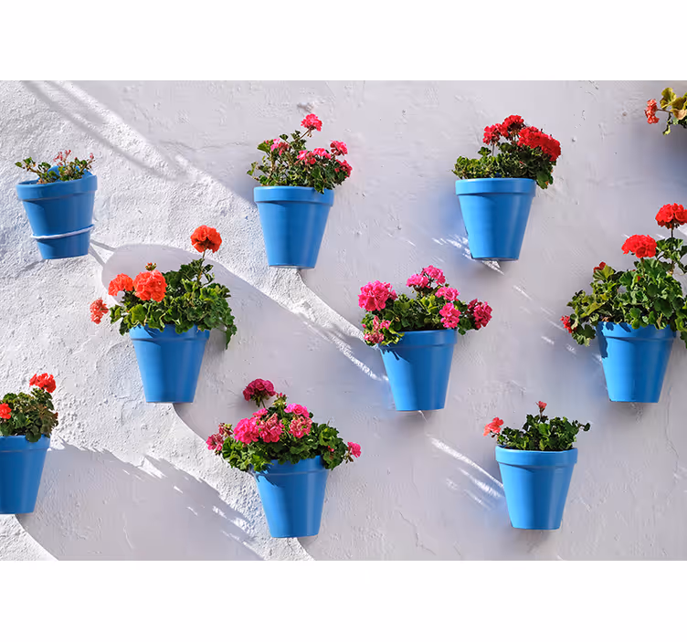 Fototapete Blumen blumenampeln - TenStickers