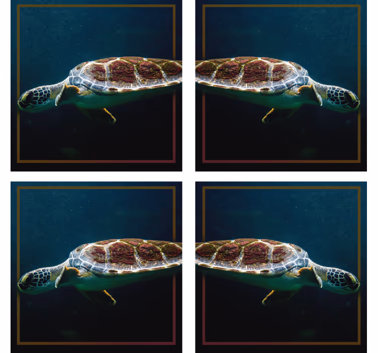 Schwimmende Schildkröte Tier Untersetzer - TenStickers
