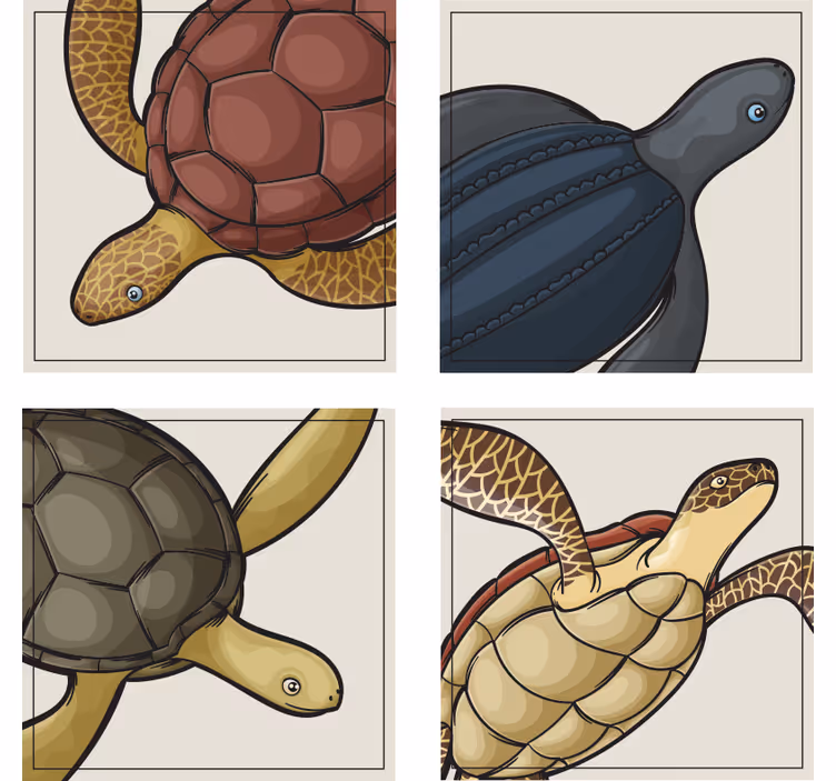 Untersetzer freak mit bunten schildkrötenmotiven - TenStickers