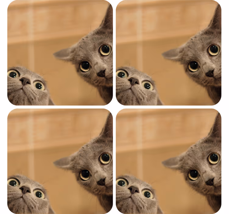 Untersetzer Freak neugierige katzengesichter - TenStickers