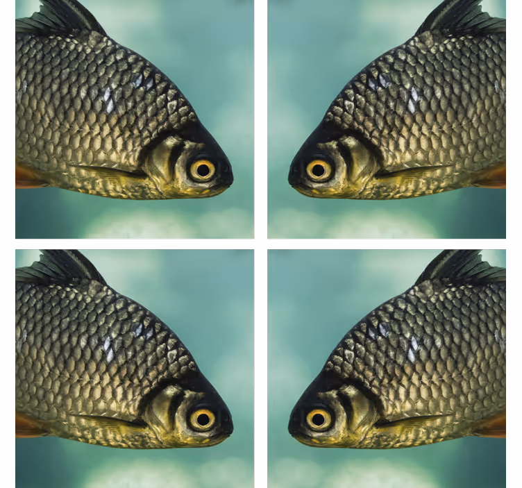 Untersetzer freak mit realistischer fischdarstellung - TenStickers