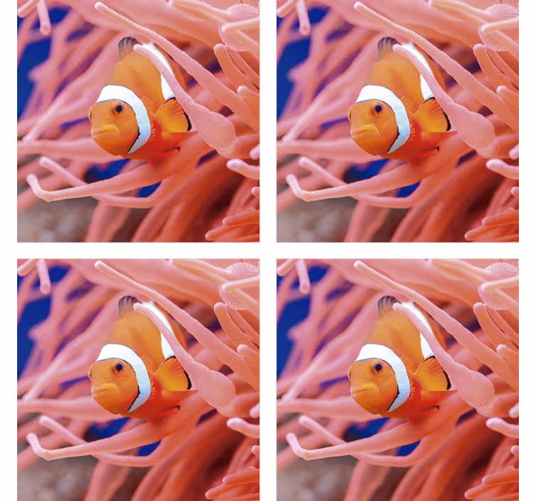 Untersetzer modern clownfisch unterwasserszene - TenStickers