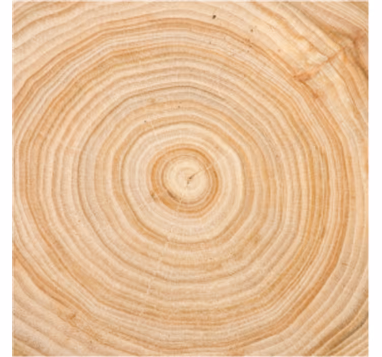 Untersetzer aus holz mit maserung kreisform - TenStickers