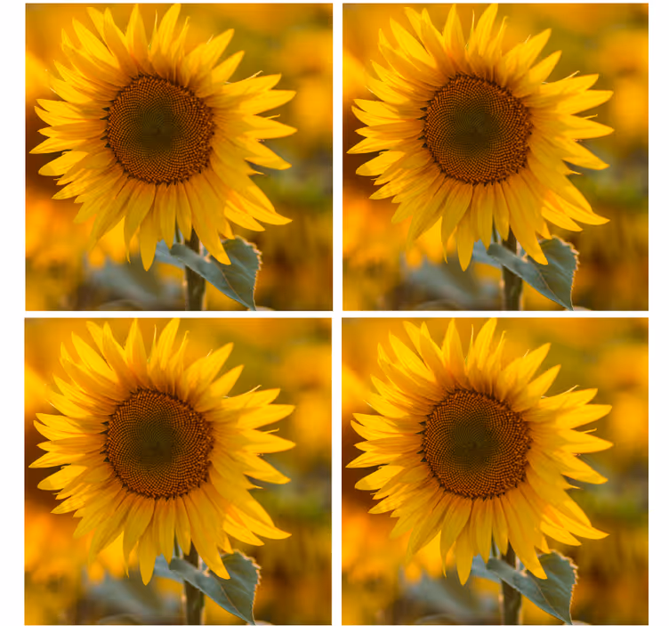 Untersetzer modern sonnenblumen arrangement - TenStickers