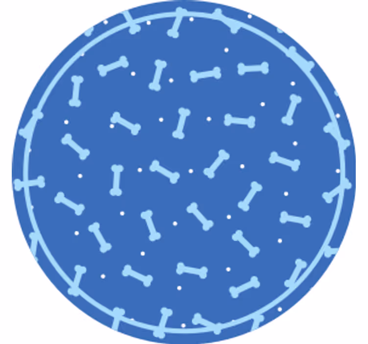 Untersetzer im knochenmuster kreis - TenStickers