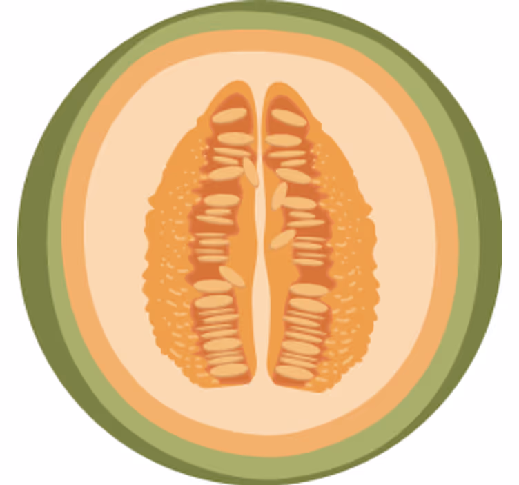 Untersetzer freak mit obstscheiben-motiven - TenStickers