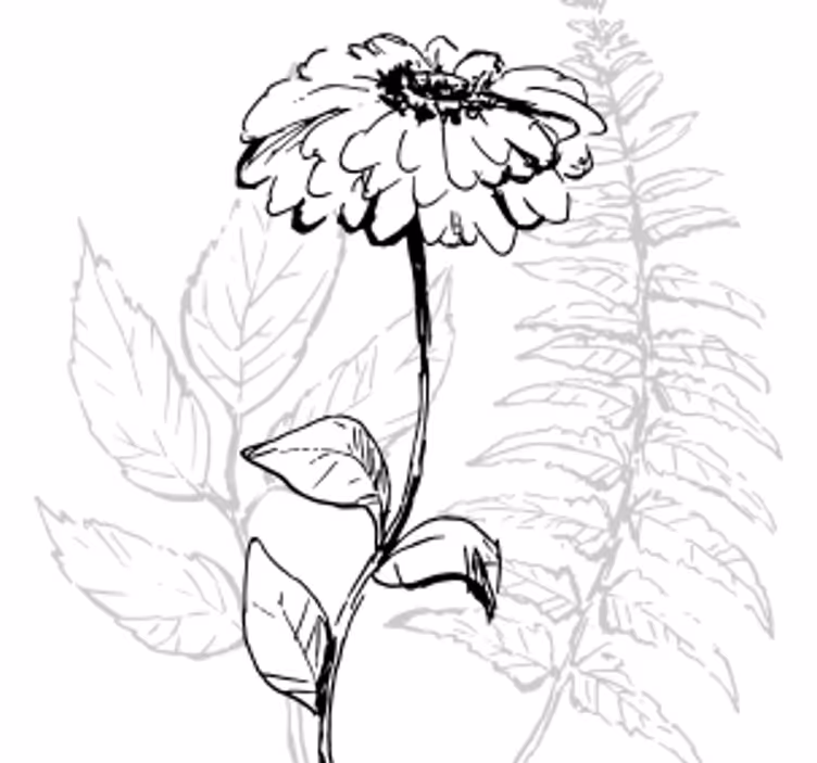 Untersetzer mit botanischer linienkunst - TenStickers