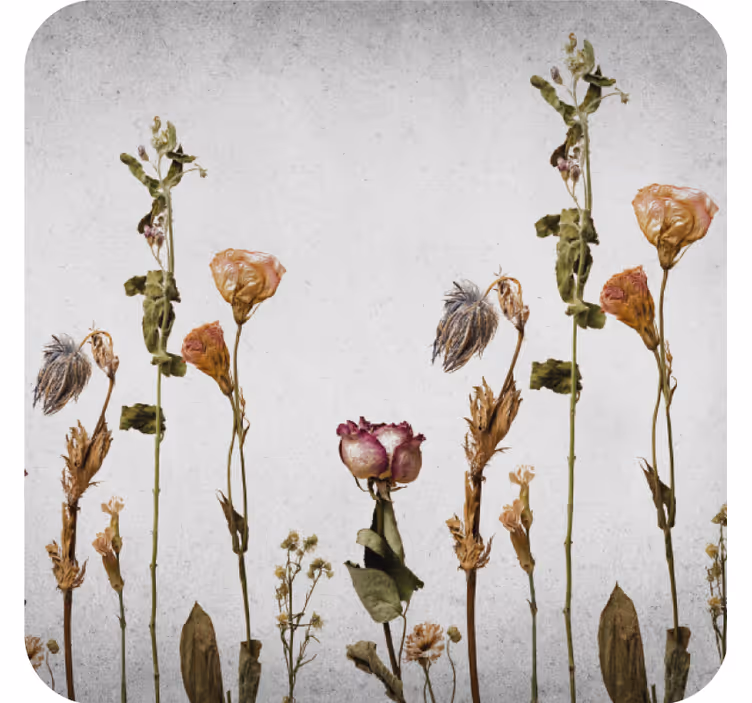 Untersetzer mit getrocknetem blumenarrangement - TenStickers