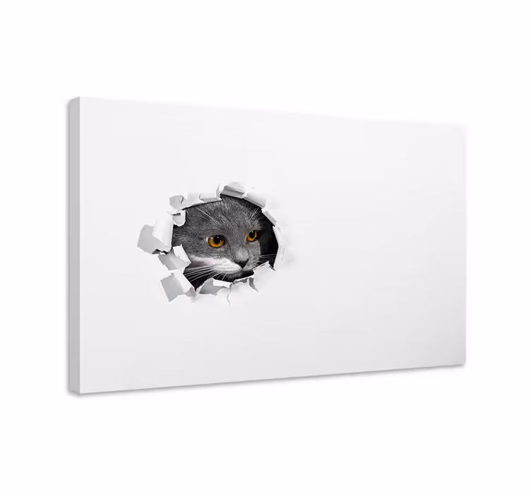 Wandbilder katzen süße katzenbilder für ihr zuhause - TenStickers