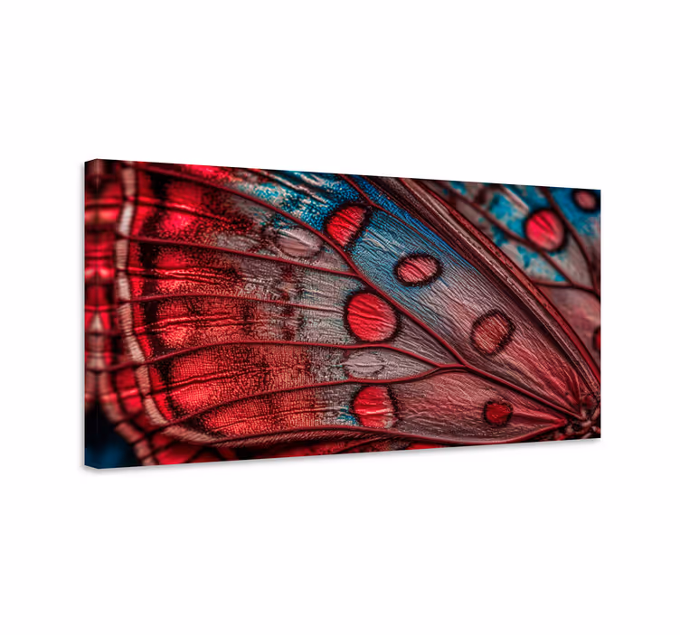 Wandbild schmetterling flügel - TenStickers