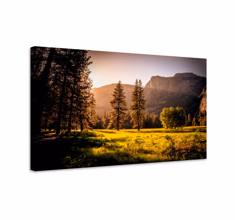 Wandbilder Landschaft Sonnengras mit blick auf die berge - TenStickers