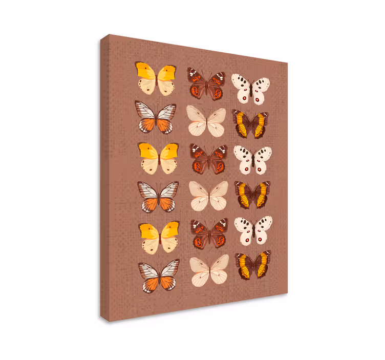 Wandbild schmetterling bunte schmetterlingsanzeige - TenStickers