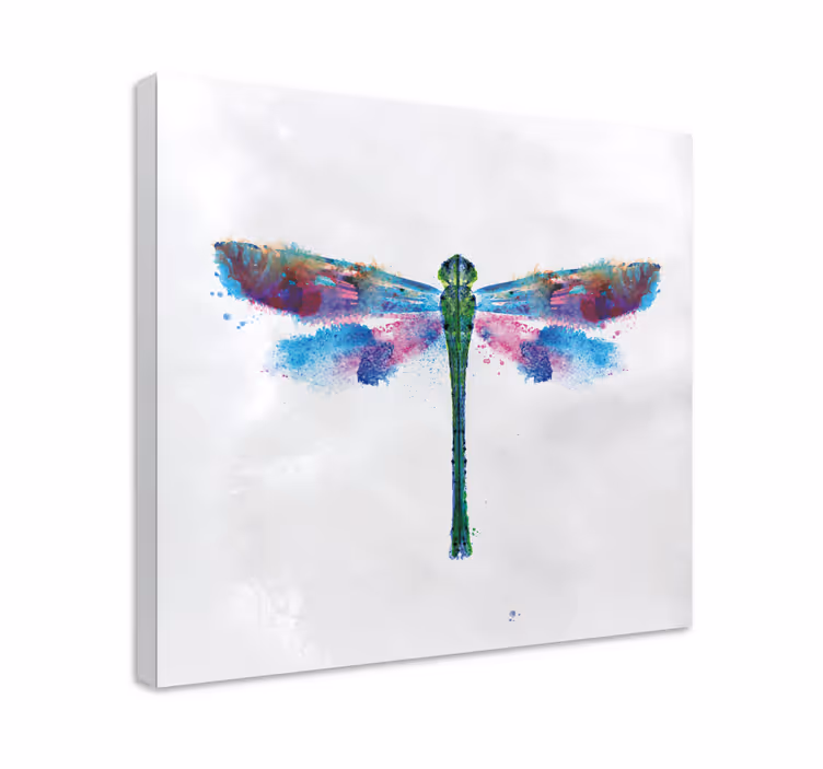 Leinwandbild libelle buntes libellen design - TenStickers