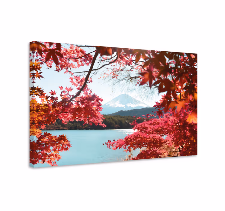 Wandbilder Landschaft Rote blätter im wald - TenStickers