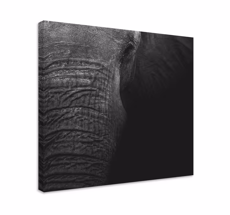 Wandbild elefant majestätisches elefantenporträt - TenStickers