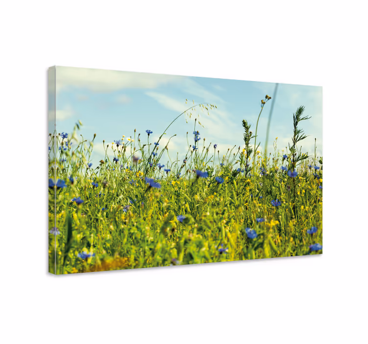Leinwandbild wildblumenwiesen szene - TenStickers