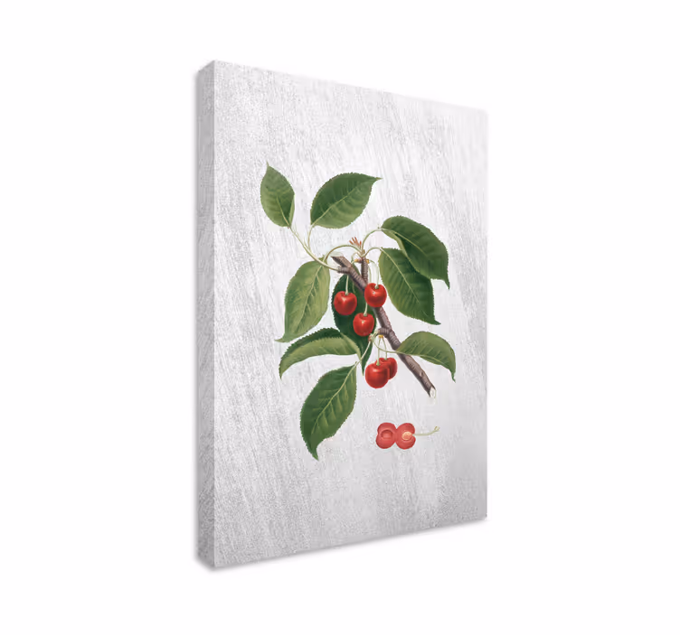 Leinwandbild obst mit kirschzweigdetail - TenStickers