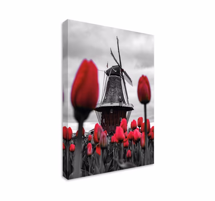 Wandbilder landschaft windmühle und tulpen - TenStickers