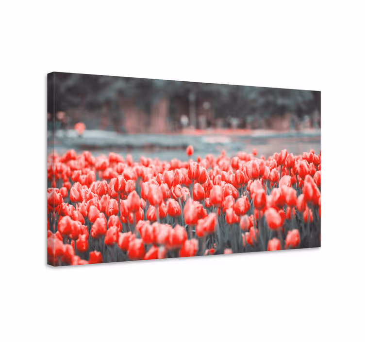 Leinwandbild farbfrohes tulpenfeld - TenStickers