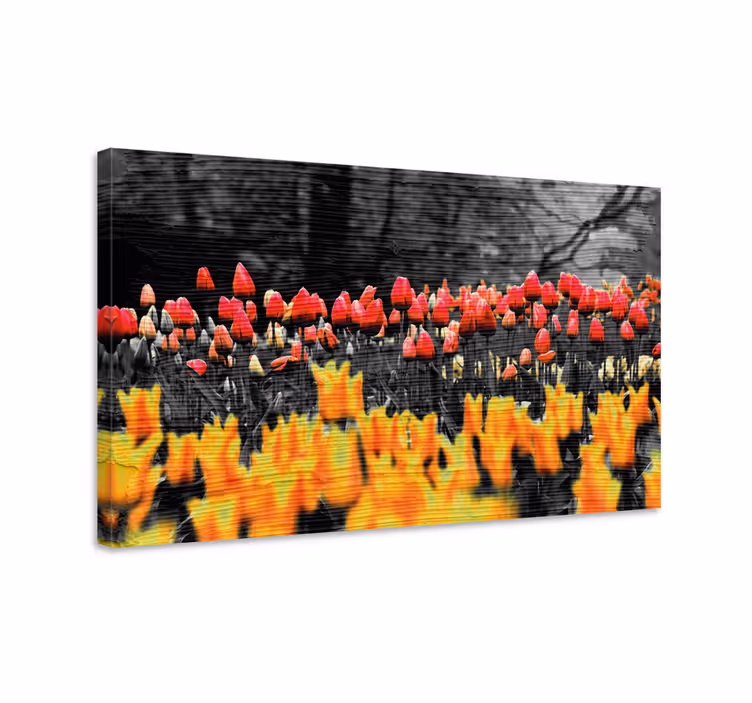 Leinwandbild bunter tulpen garten - TenStickers