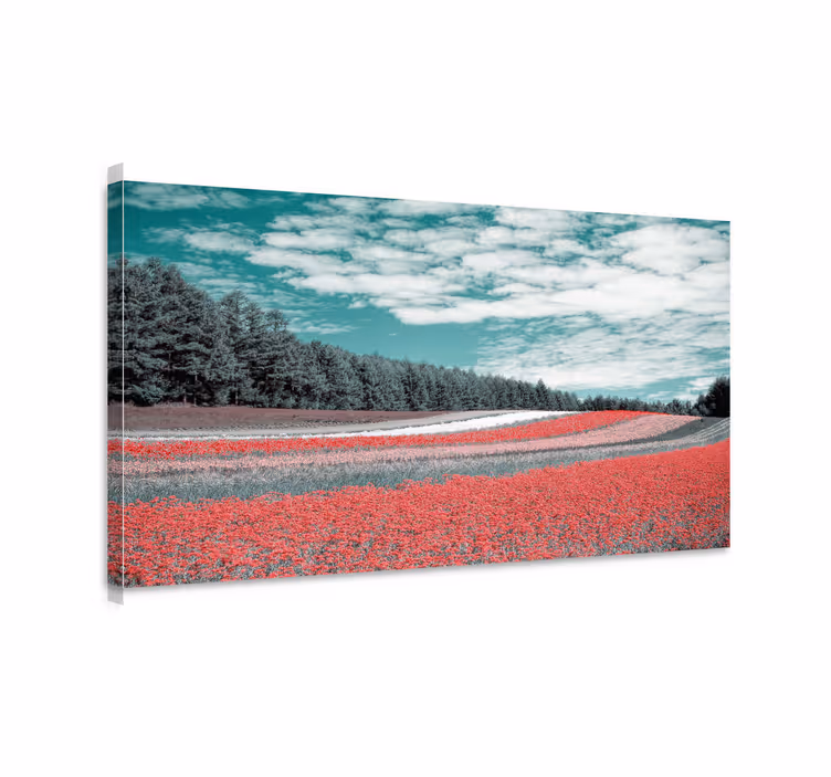 Wandbilder landschaft lebhaftes blumenfeld - TenStickers