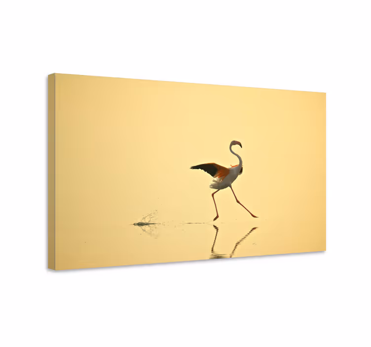 Leinwandbild vogel eleganter flamingo tanz - TenStickers