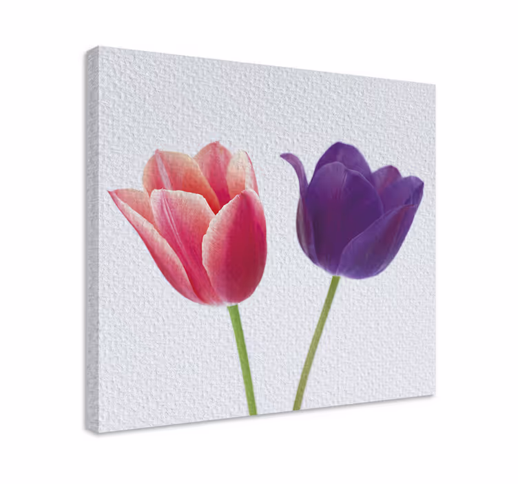 Leinwandbild tulpenarrangement - TenStickers