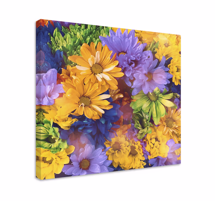 Leinwandbild Blume Bunte blütenblätter - TenStickers