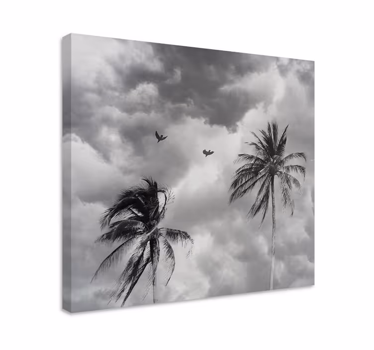 Leinwandbild palmen silhouette - TenStickers