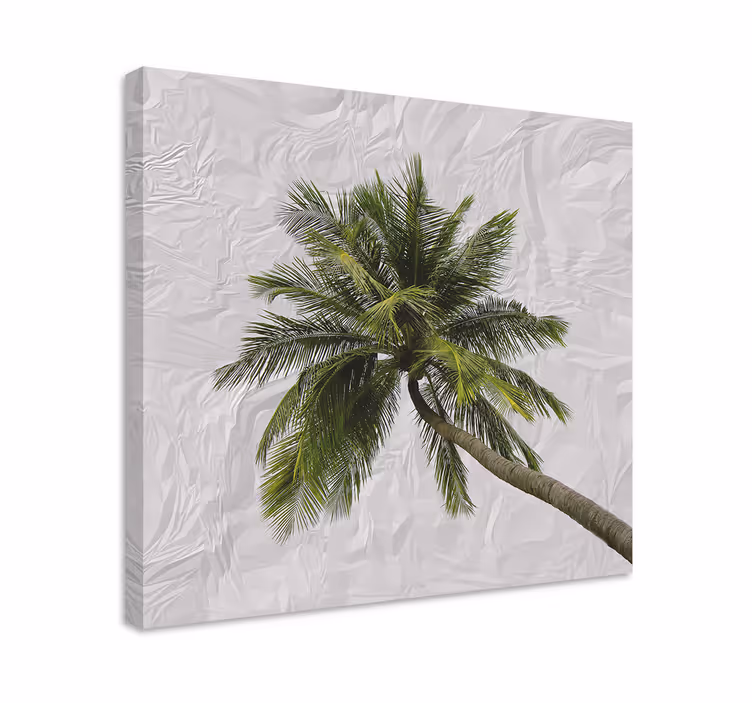 Leinwandbild hohe palmwedel - TenStickers