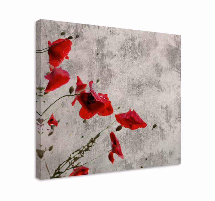 Leinwandbild rote mohnblüten - TenStickers