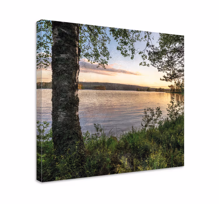 Wandbilder Landschaft Ein wald am see - TenStickers