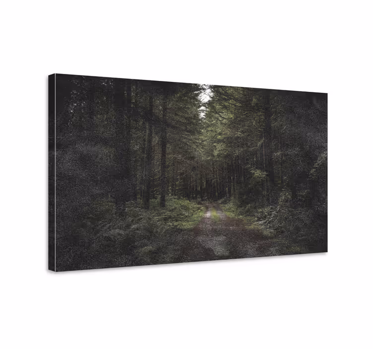 Wandbilder landschaft waldweg der stille - TenStickers