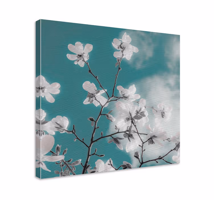 Leinwandbild zarte blumenranke - TenStickers